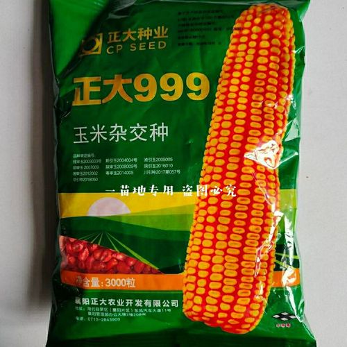 正大饲料厂玉米收购价格配图