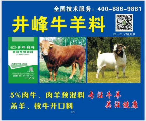 中国前十牛饲料配图