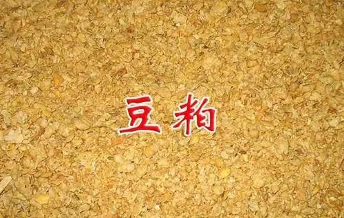 中国饲料豆粕价格配图