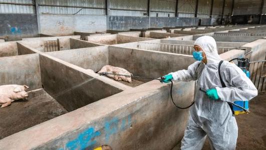 猪饲料厂生物安全防控配图