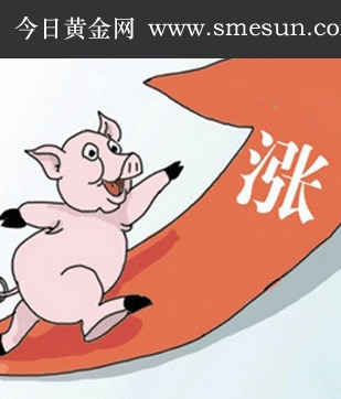 猪饲料板块股票配图