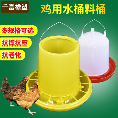 自制喂鸡的饲料桶不被鸟与老鼠吃配图