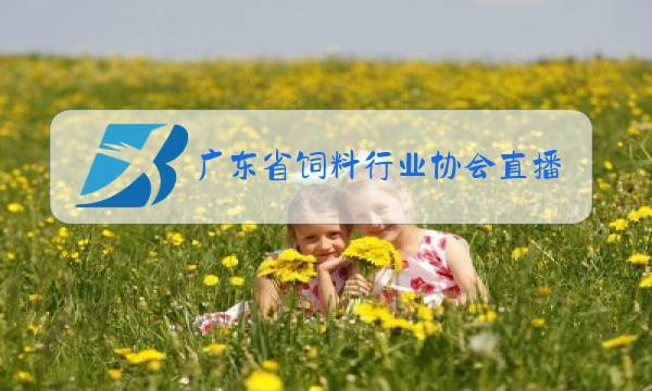 广东省饲料行业协会直播图片