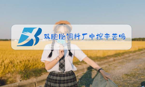 双胞胎饲料厂中控辛苦吗图片