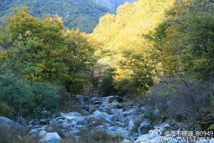 海陵王完颜亮弑杀金熙宗篡位