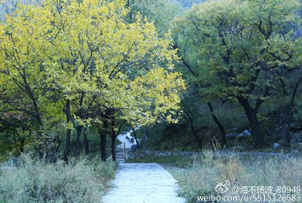 海陵王完颜亮弑杀金熙宗篡位