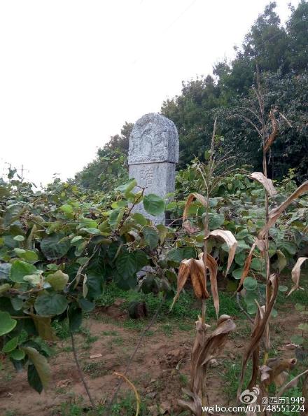 西方人眼中中国历史上最伟大的帝王 隋文帝