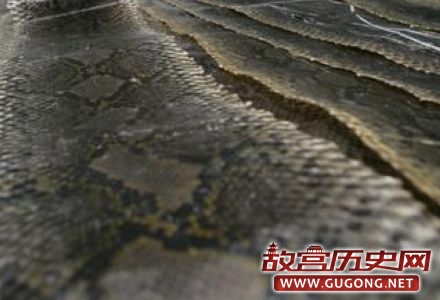 古代人的降温”神器”