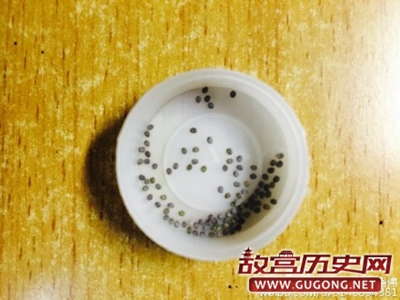 中国古代蚕种西传的“三种说法”