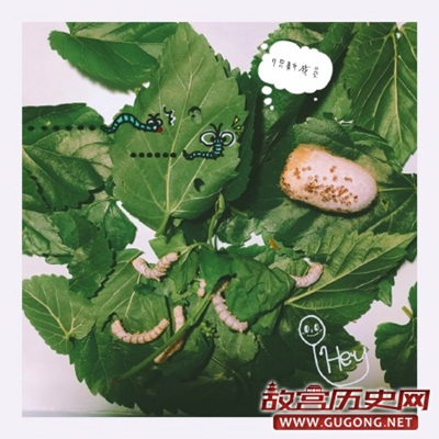 中国古代蚕种西传的“三种说法”