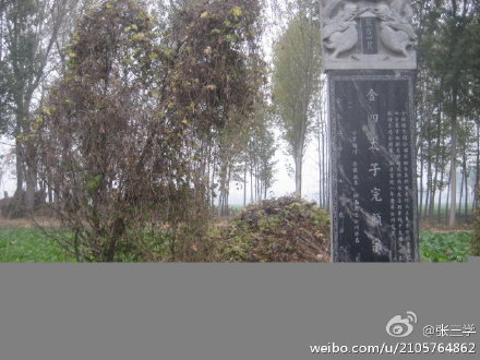 1130年1月19日 金兀术兵陷临安