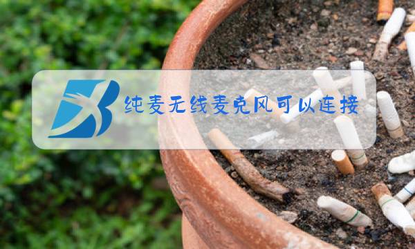 纯麦无线麦克风可以连接电脑吗图片