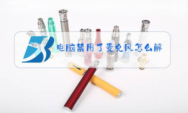 电脑禁用了麦克风怎么解除图片