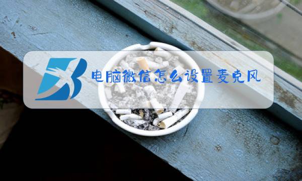 电脑微信怎么设置麦克风权限图片