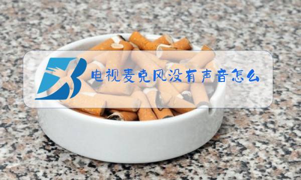 电视麦克风没有声音怎么办图片