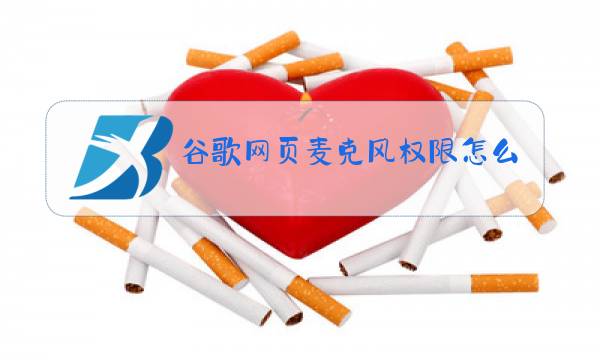 谷歌网页麦克风权限怎么开启图片