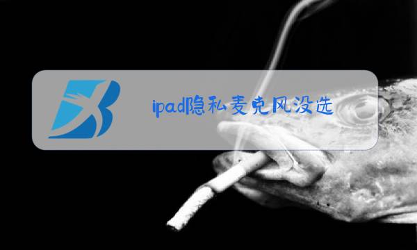 ipad隐私麦克风没选项图片