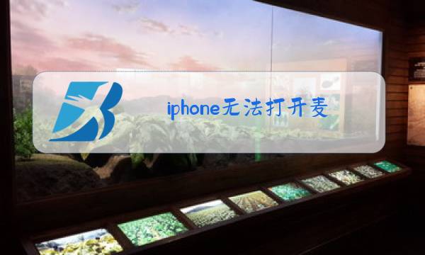 iphone无法打开麦克风权限图片