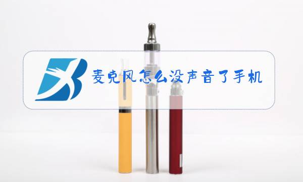 麦克风怎么没声音了手机图片