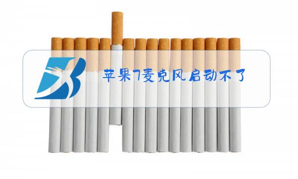 苹果7麦克风启动不了,通话没外音图片