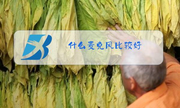 什么麦克风比较好图片