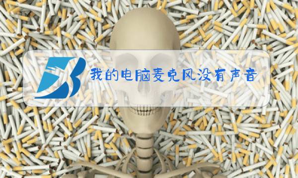 我的电脑麦克风没有声音怎么办图片