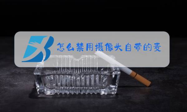 怎么禁用摄像头自带的麦克风图片