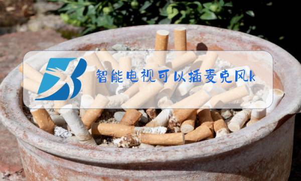 智能电视可以插麦克风k歌吗图片