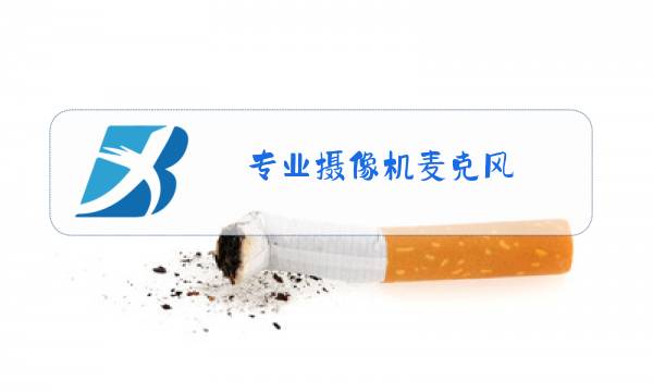 专业摄像机麦克风图片