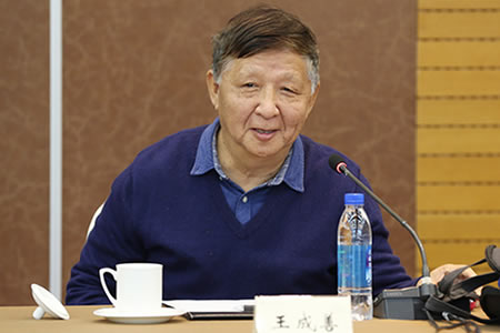王成善(成都理工大学沉积地质研究院怎么样?设有哪些专业? 申请方)