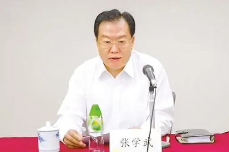 张学武(土地归属问题)