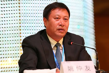 姚仲友(被岳飞歼灭的金军拐子马是怎样的一支军队?)