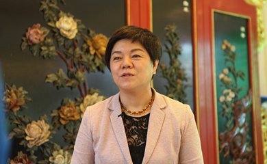 丁永玲(武汉商学院怎样?)
