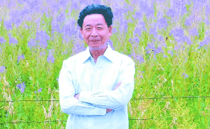 王世平(知否里王世平是什么官职?)