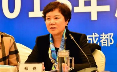 郑戎(雅化集团主要经营什么?)