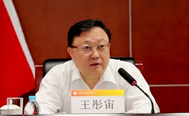 王彤宙(王彤宙毕业于哪所大学?)