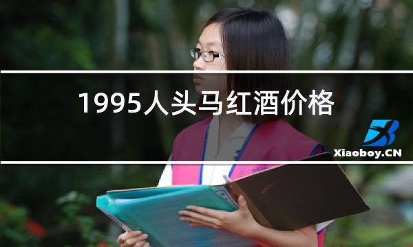 1995人头马红酒价格
