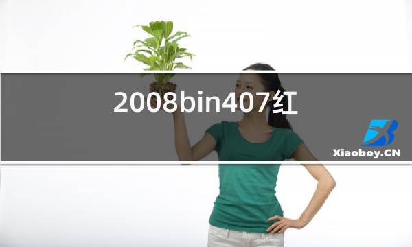 2008bin407红酒价格图片