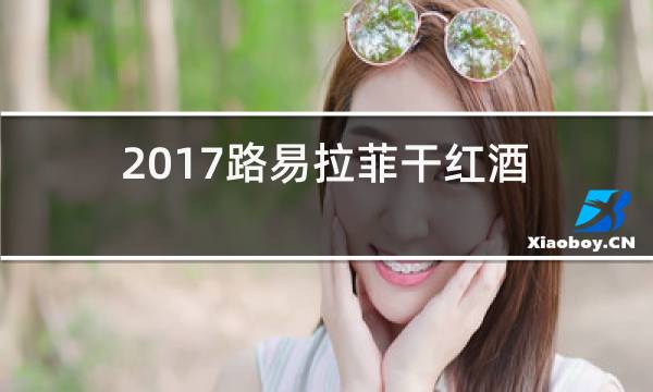 2017路易拉菲干红酒价格查询图片