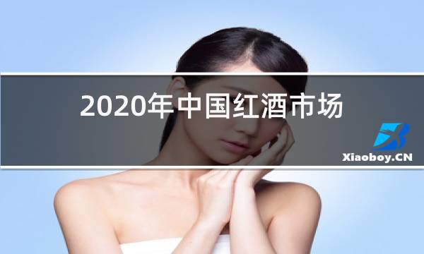 2020年中国红酒市场图片