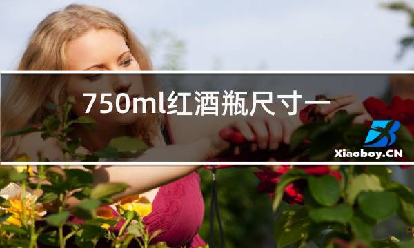 750ml红酒瓶尺寸一般是多少图片
