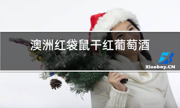 澳洲红袋鼠干红葡萄酒