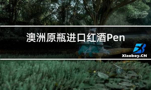 澳洲原瓶进口红酒Penfolds奔富系列干红葡萄酒好不好