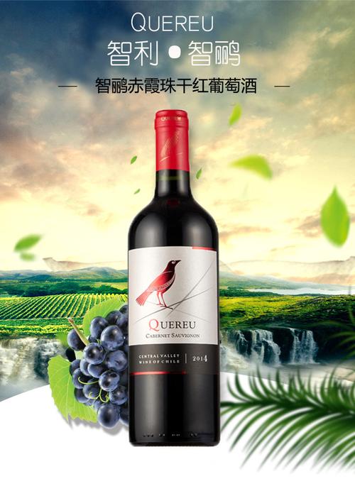2018智利红酒销售排名