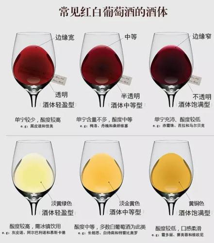 常见红酒葡萄品种英文