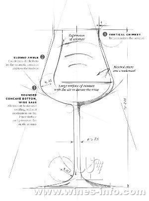 红酒杯结构图