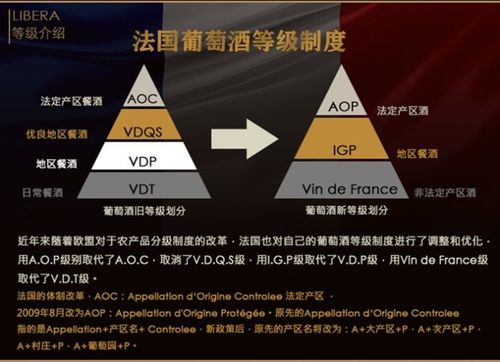 红酒怎么看级别