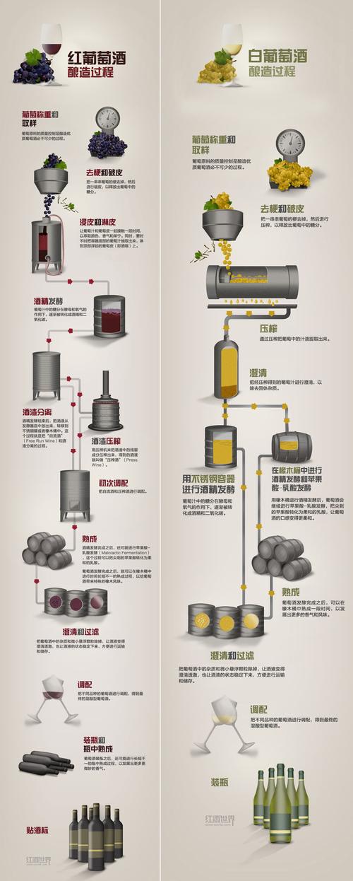 红酒制作流程图