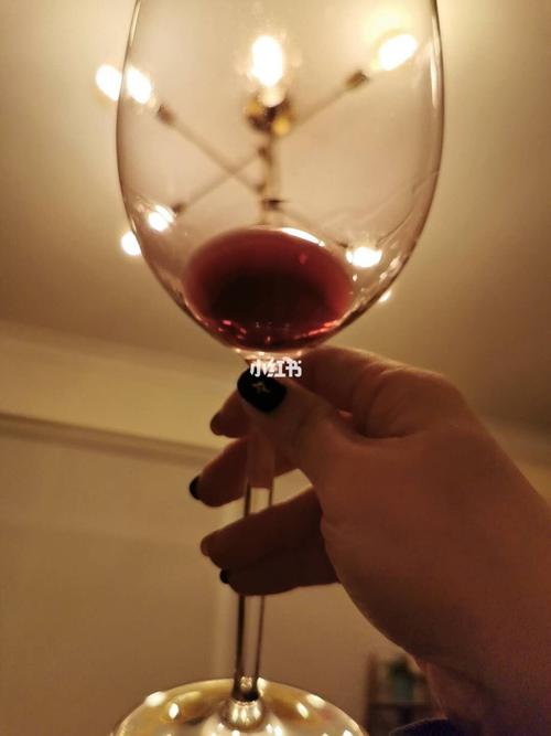 生活像一杯红酒翻译
