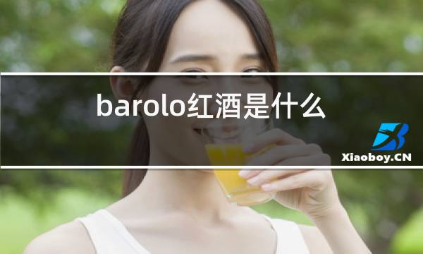 barolo红酒是什么品牌图片